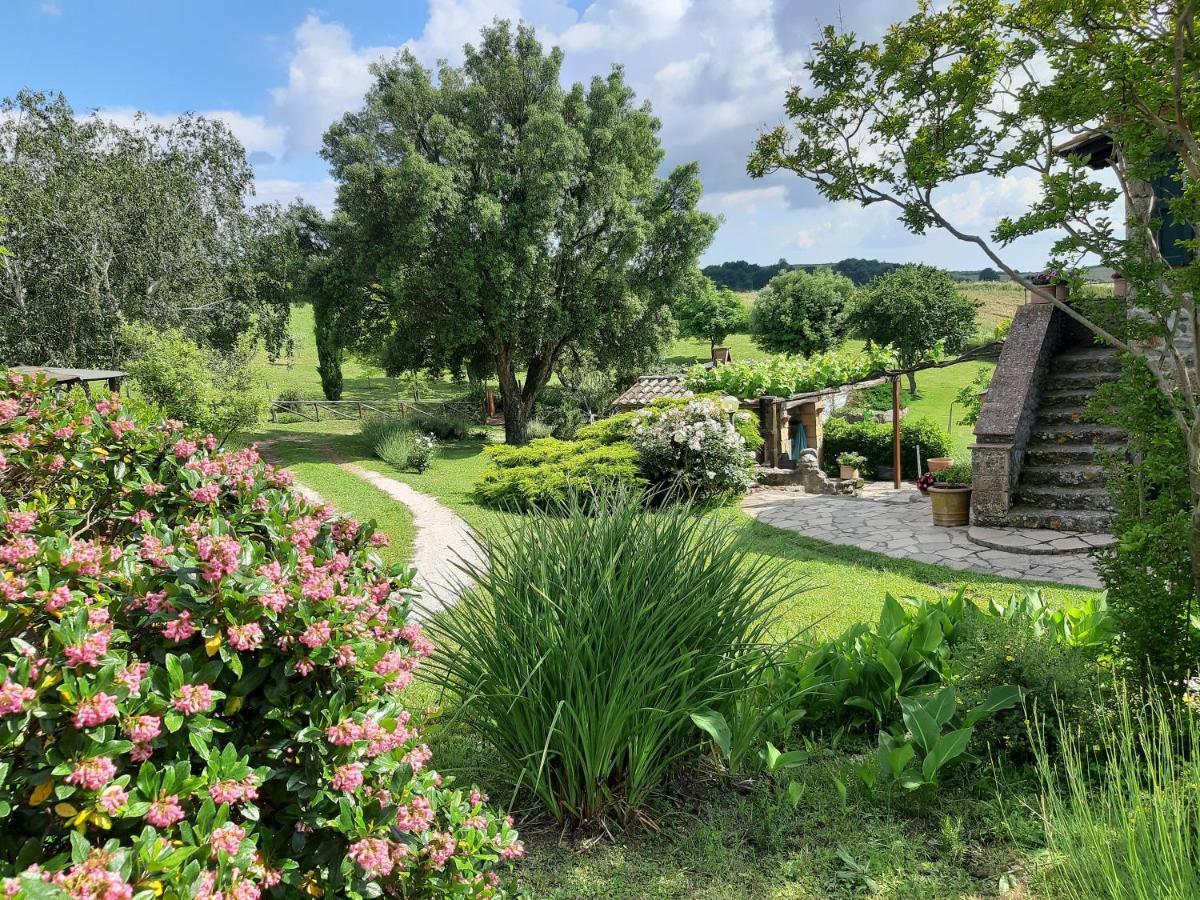 Agriturismo Cantinaccia Di Sopra ปีติญาโน ภายนอก รูปภาพ