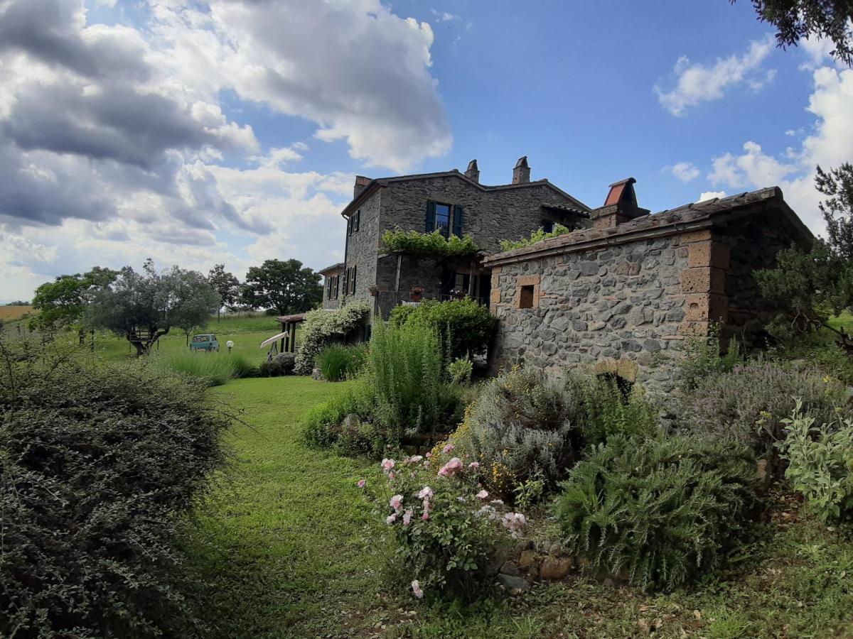 Agriturismo Cantinaccia Di Sopra ปีติญาโน ภายนอก รูปภาพ