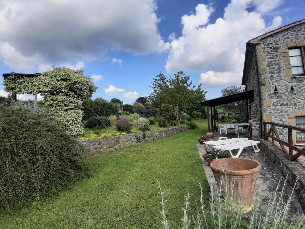 Agriturismo Cantinaccia Di Sopra ปีติญาโน ภายนอก รูปภาพ