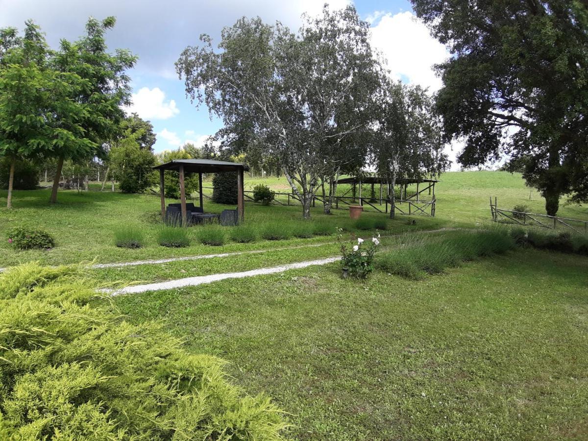 Agriturismo Cantinaccia Di Sopra ปีติญาโน ภายนอก รูปภาพ