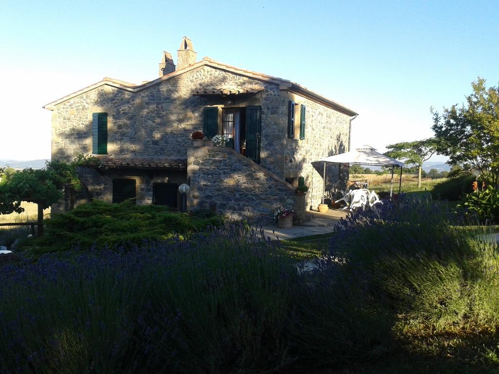 Agriturismo Cantinaccia Di Sopra ปีติญาโน ภายนอก รูปภาพ