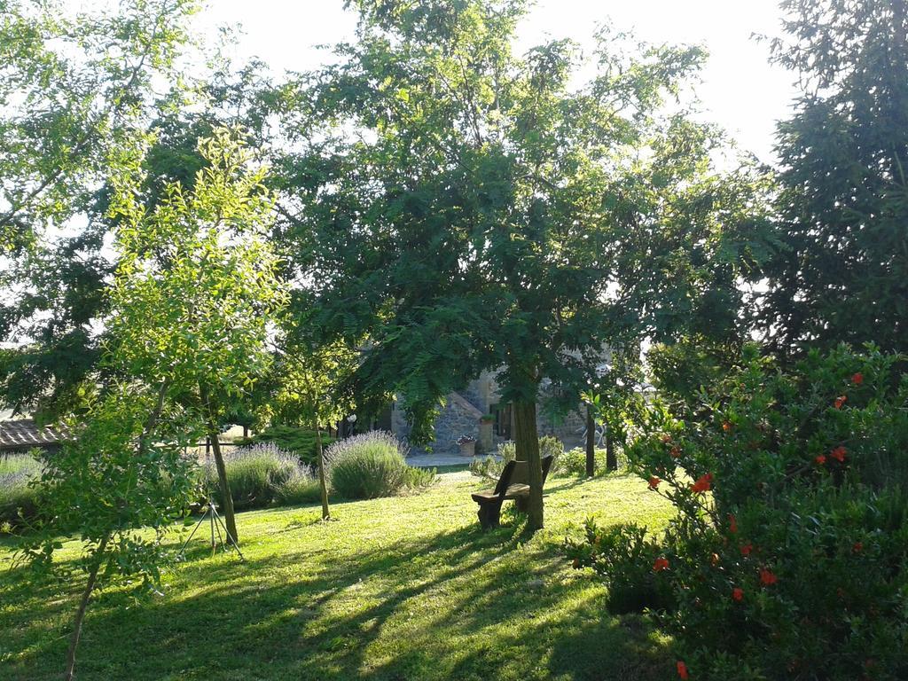Agriturismo Cantinaccia Di Sopra ปีติญาโน ภายนอก รูปภาพ