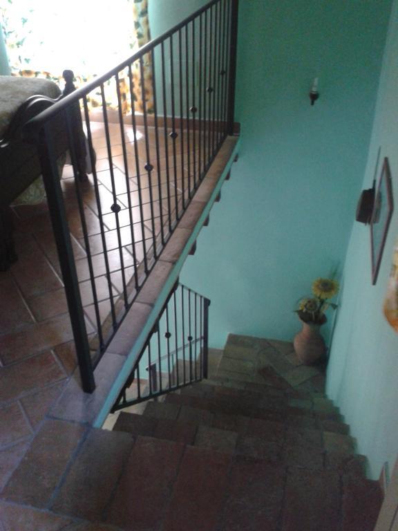 Agriturismo Cantinaccia Di Sopra ปีติญาโน ภายนอก รูปภาพ